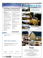 Síða 17
