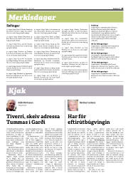 Síða 19