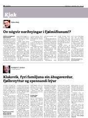 Síða 20