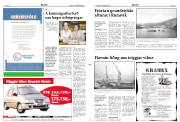 Síða 3