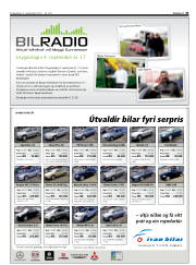 Síða 31