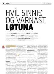 Síða 4