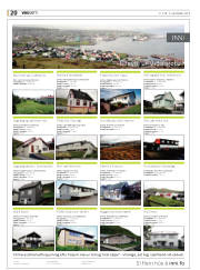 Síða 20
