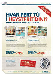 Síða 2