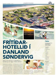Síða 5