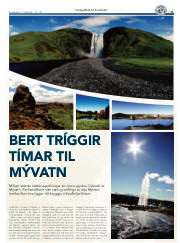 Síða 11