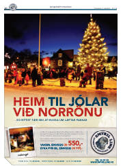 Síða 12