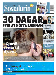 Síða 1
