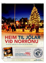 Síða 8