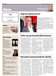 Síða 12