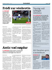 Síða 19