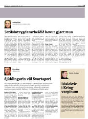 Síða 29