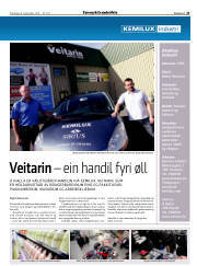 Síða 21