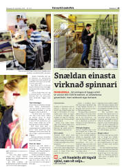 Síða 25