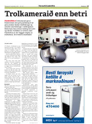 Síða 29