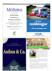 Síða 43