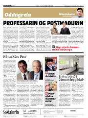 Síða 2