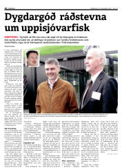 Síða 14