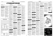 Síða 19