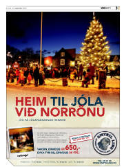 Síða 3