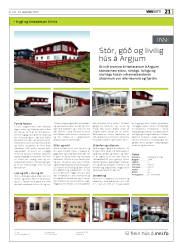 Síða 21