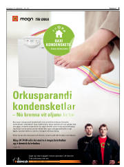 Síða 5