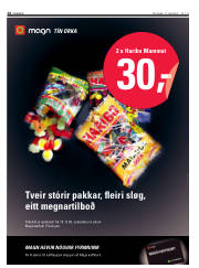 Síða 14