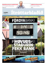 Síða 15