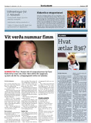 Síða 17