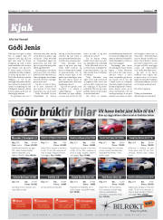 Síða 35