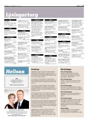Síða 33