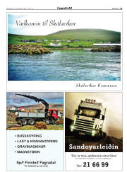 Síða 25