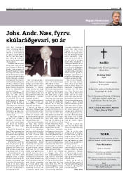 Síða 13