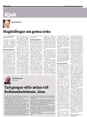 Síða 14