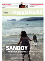 Síða 17