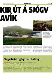 Síða 29