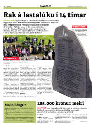 Síða 30