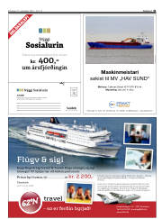 Síða 41