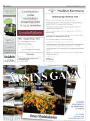 Síða 42
