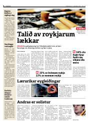 Síða 8