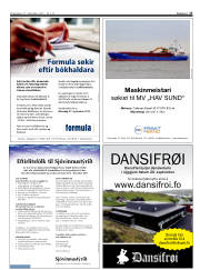 Síða 17