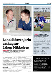 Síða 29