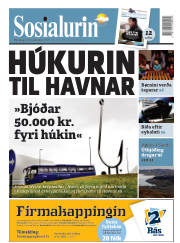 Síða 1