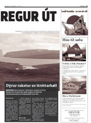 Síða 11