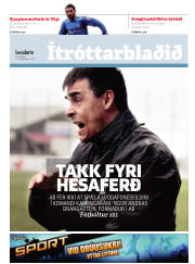 Síða 15