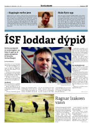 Síða 17