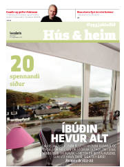 Síða 17