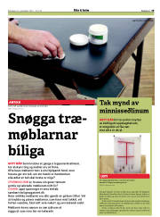 Síða 29