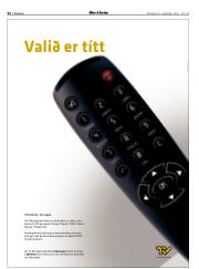 Síða 32
