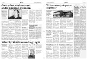Síða 3